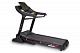 беговая дорожка titanium masters physiotech tlc (motorized treadmill)