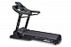 беговая дорожка titanium masters physiotech tlf (motorized treadmill)